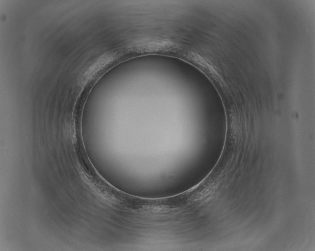 X0000076240582200610051157