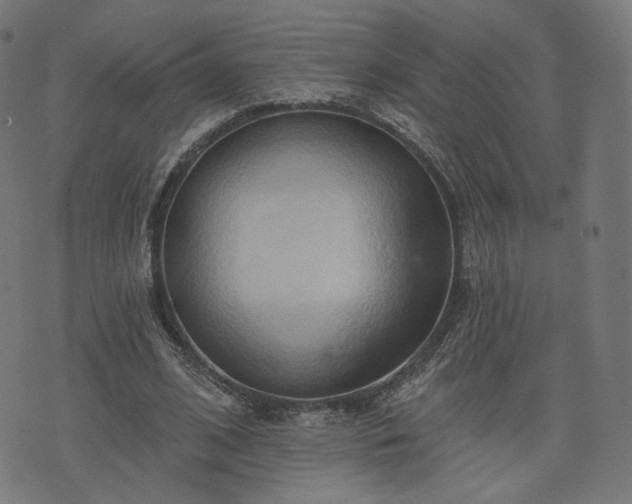 X0000076240584200610051157