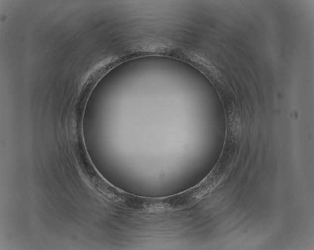 X0000076240587200610051157