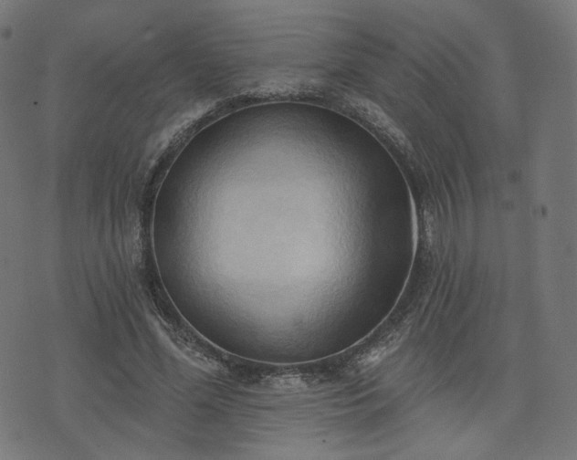 X0000076240588200610051157