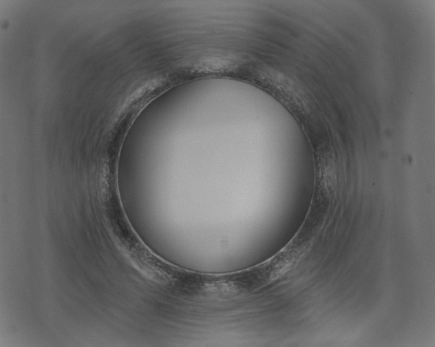 X0000076240591200610051157