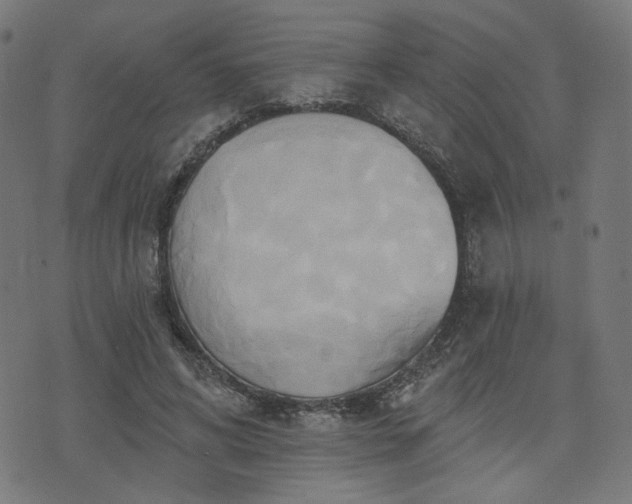 X0000076240592200610051157