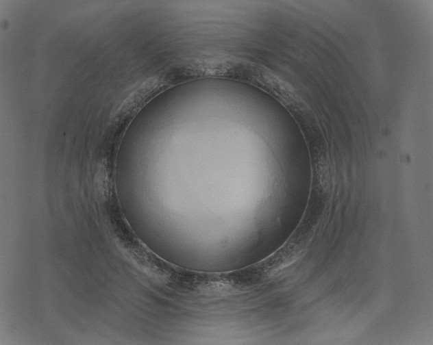 X0000076240594200610051157