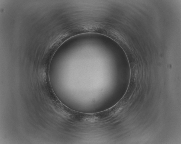 X0000076240595200610051157