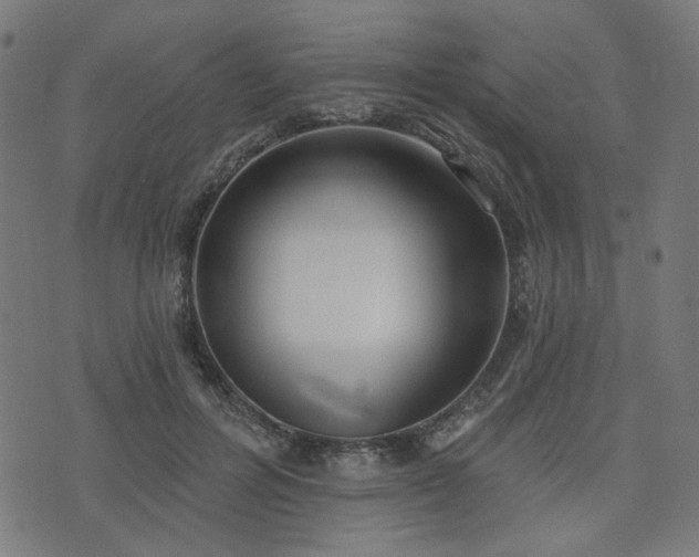 X0000076240600200610051157