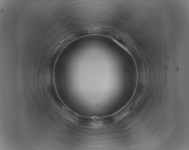 X0000076240604200610051157