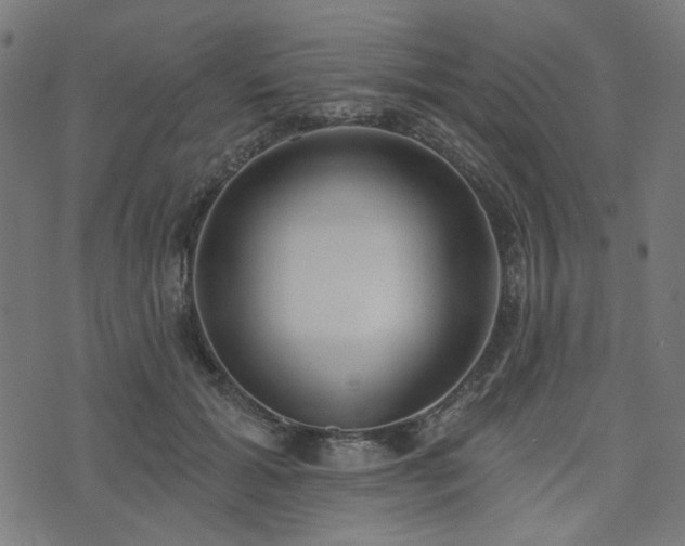X0000076240605200610051157