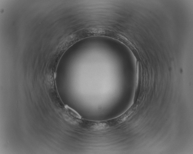 X0000076240609200610051157