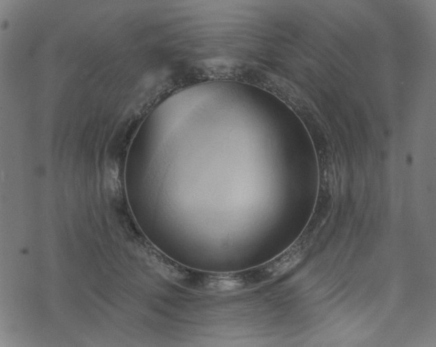 X0000076240610200610051157