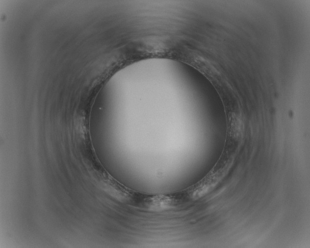 X0000076240612200610051157