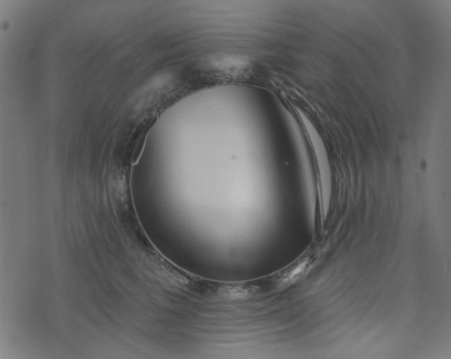 X0000076240613200610051157