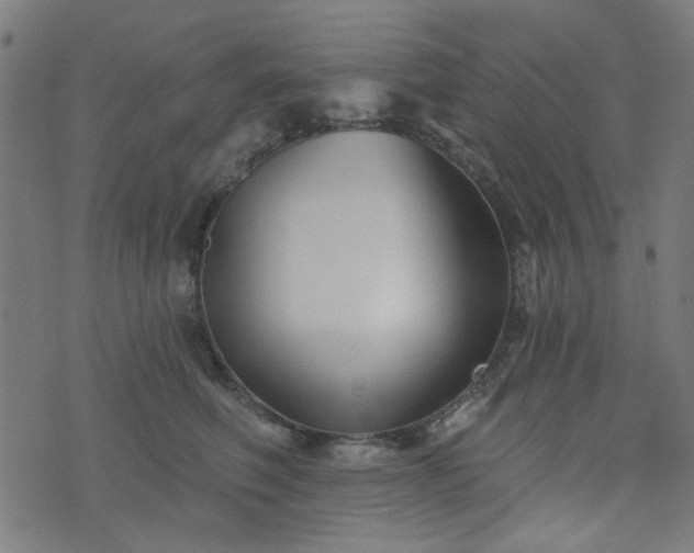 X0000076240614200610051157