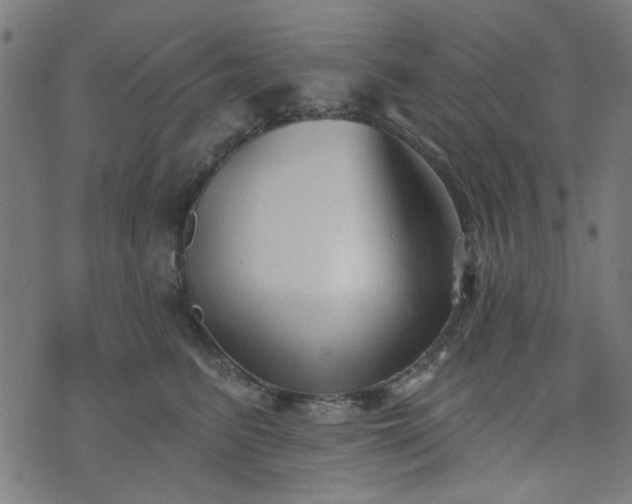X0000076240615200610051157