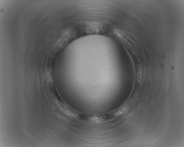 X0000076240616200610051157