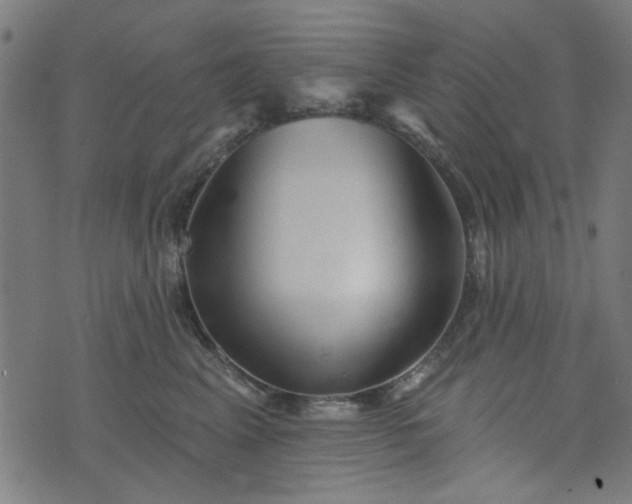 X0000076240617200610051157