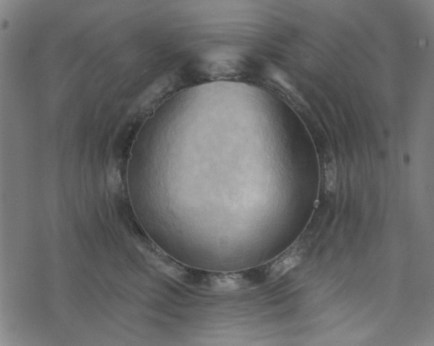 X0000076240618200610051157