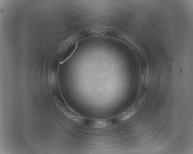 X0000076240623200610051156