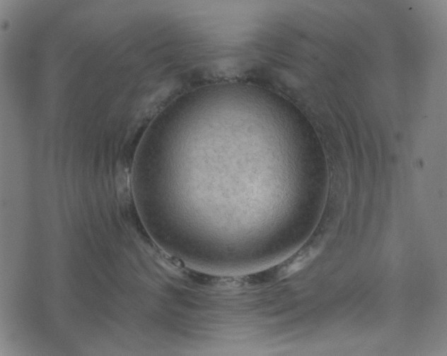 X0000076240624200610051156