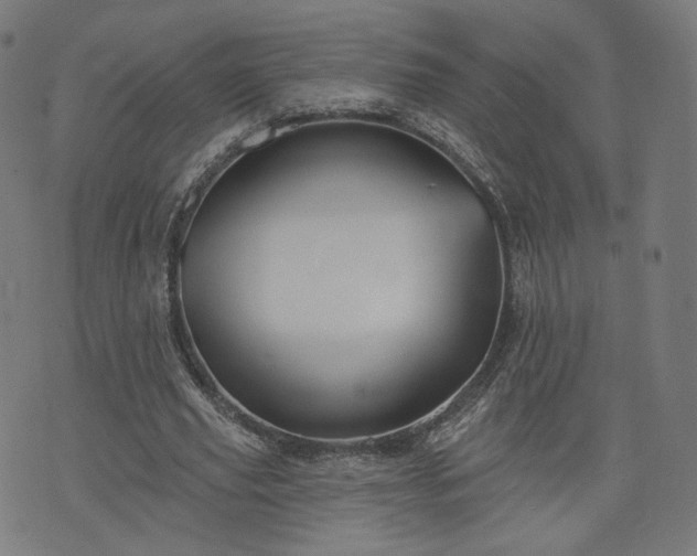 X0000076240629200610051156