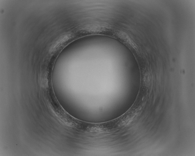 X0000076240635200610051156