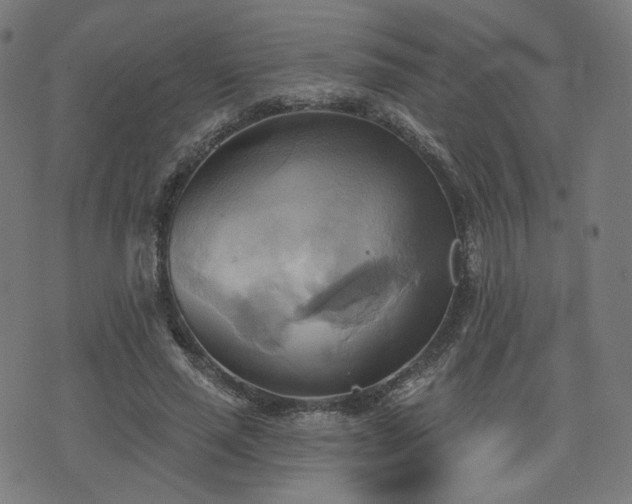 X0000076240637200610051156