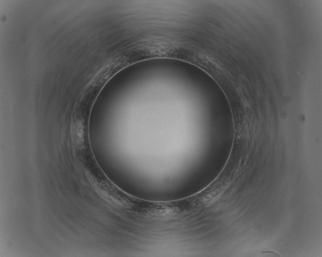X0000076240646200610051156