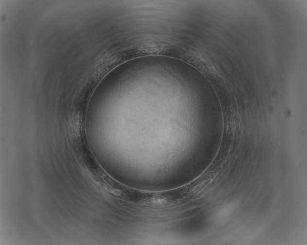 X0000076240647200610051156