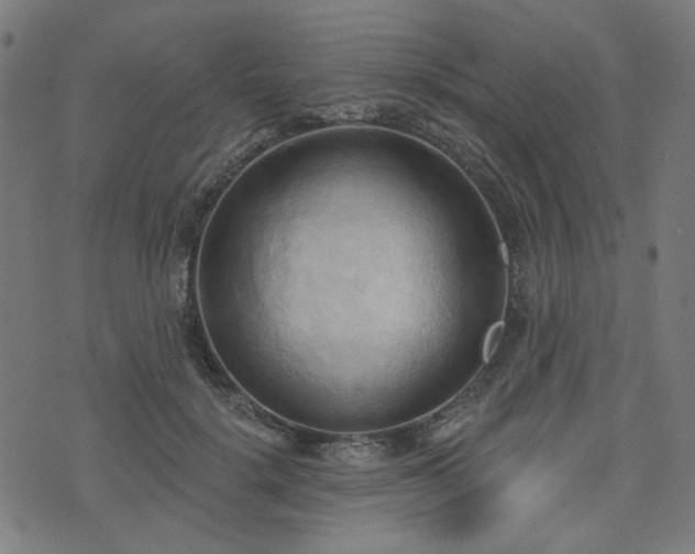 X0000076240652200610051156