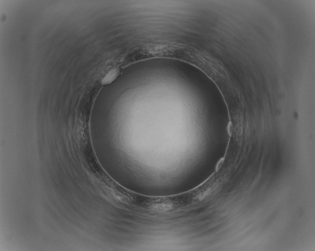 X0000076240653200610051156