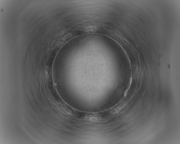 X0000076240655200610051156