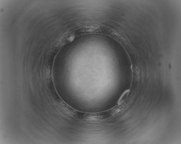 X0000076240657200610051156