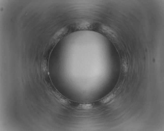 X0000076240665200610051156