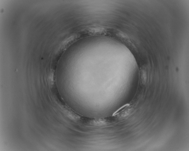 X0000076240668200610051156