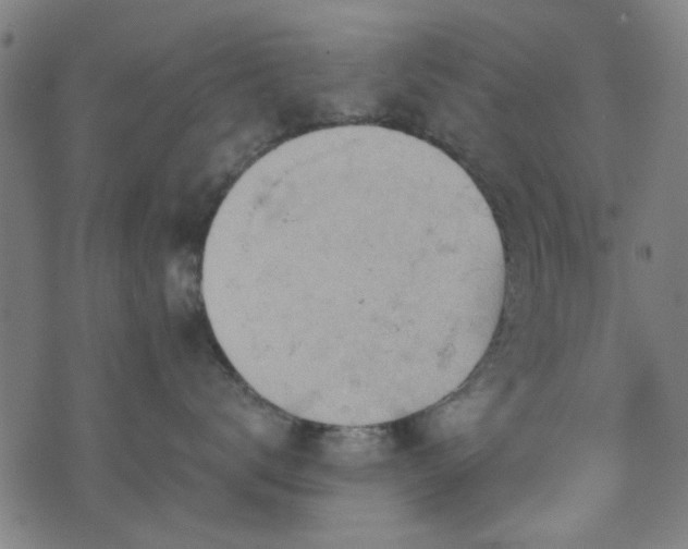 X0000076240672200610051156