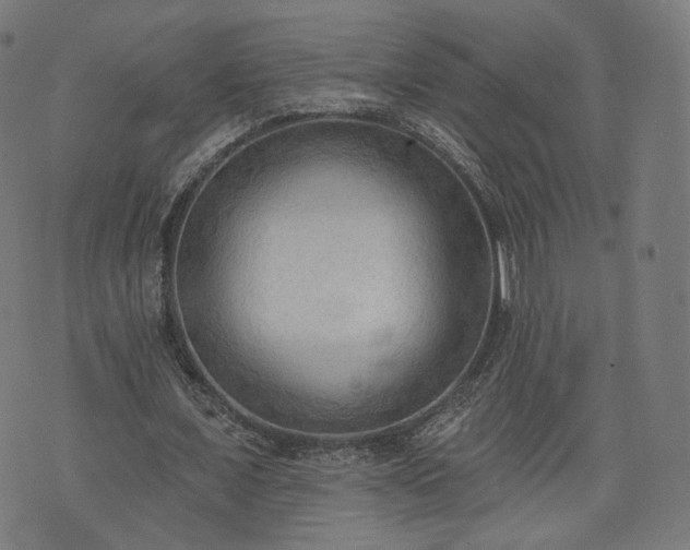 X0000076240675200610051156