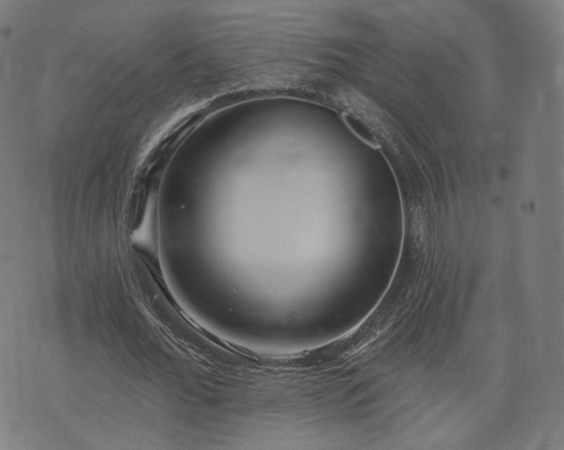 X0000076240676200610051156
