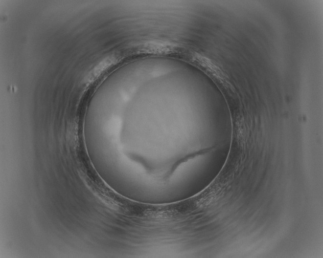 X0000076240679200610051156