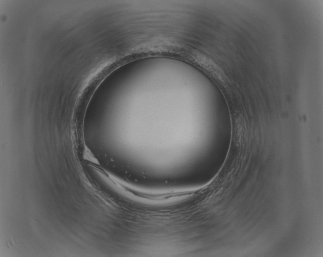 X0000076240680200610051156