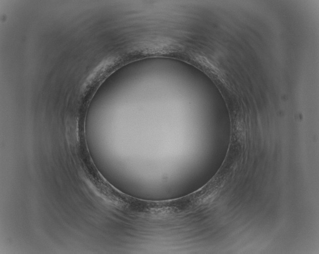 X0000076240686200610051155