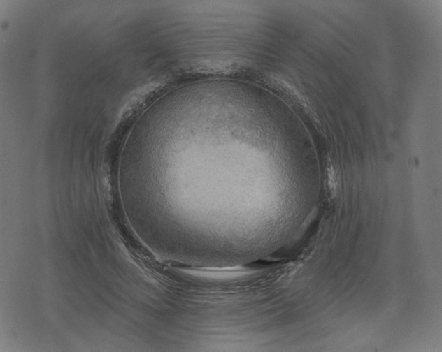 X0000076240688200610051155