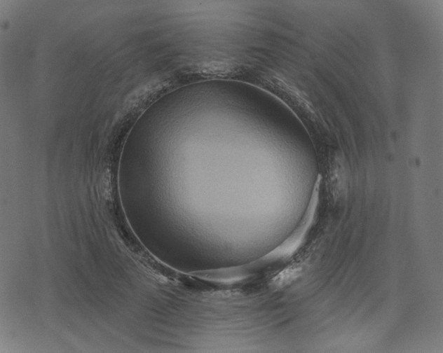 X0000076240689200610051155
