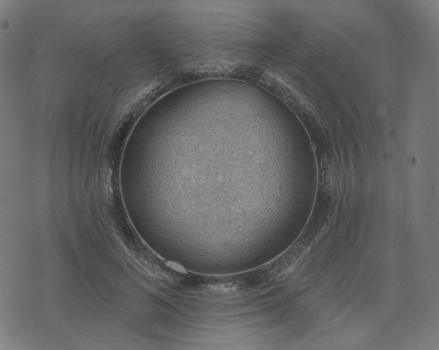 X0000076240692200610051155