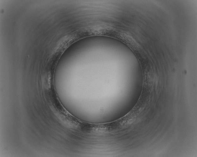 X0000076240694200610051155