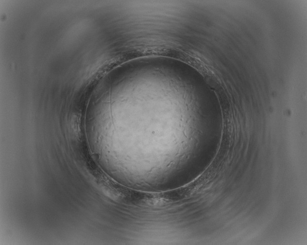 X0000076240695200610051155