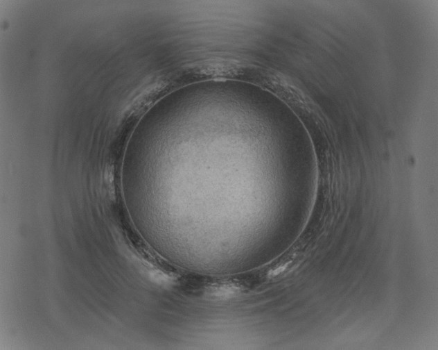 X0000076240696200610051155