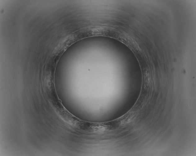 X0000076240698200610051155