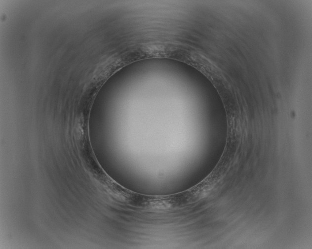 X0000076240702200610051155