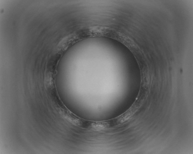 X0000076240706200610051155