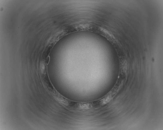 X0000076240709200610051155