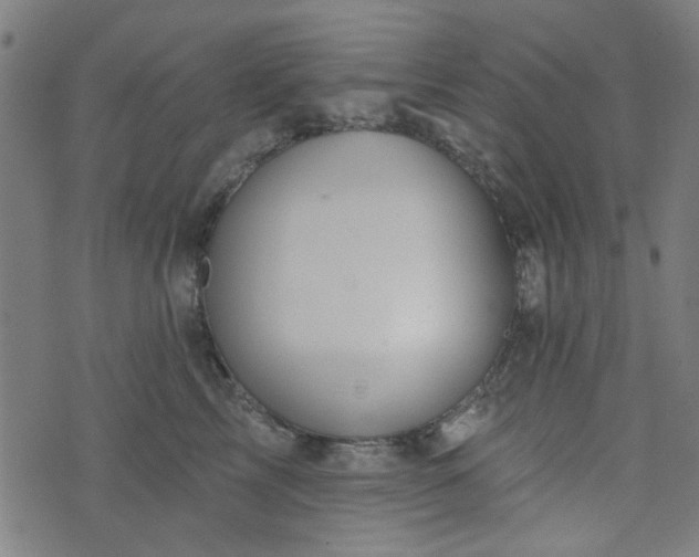 X0000076240713200610051155